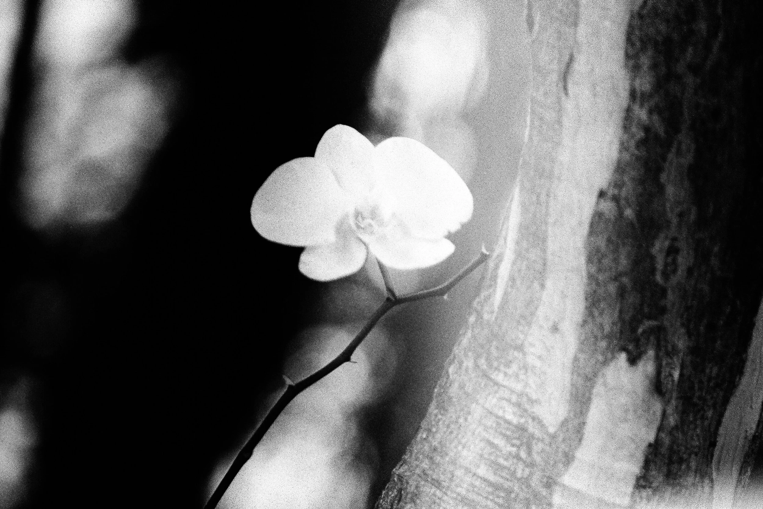 000374020026 (1).jpg