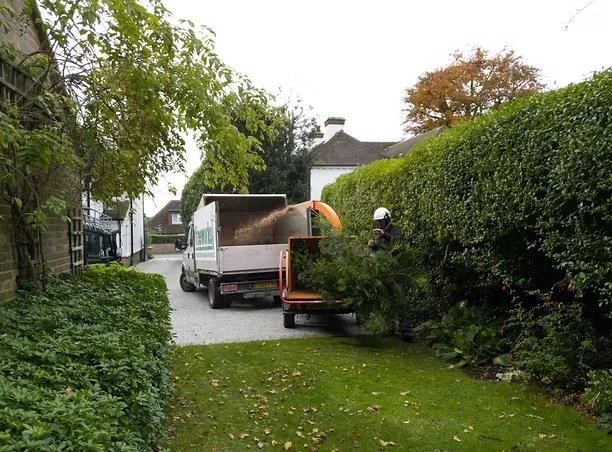 Hedge Cutting.jpg