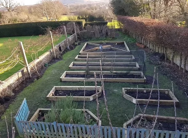 Landscaping.jpg