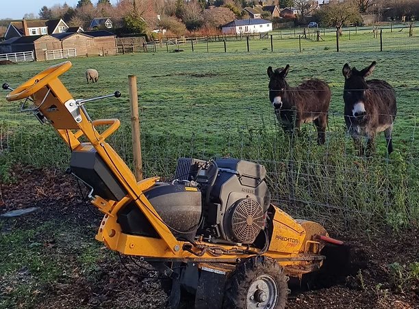 Stump Grinding.jpg