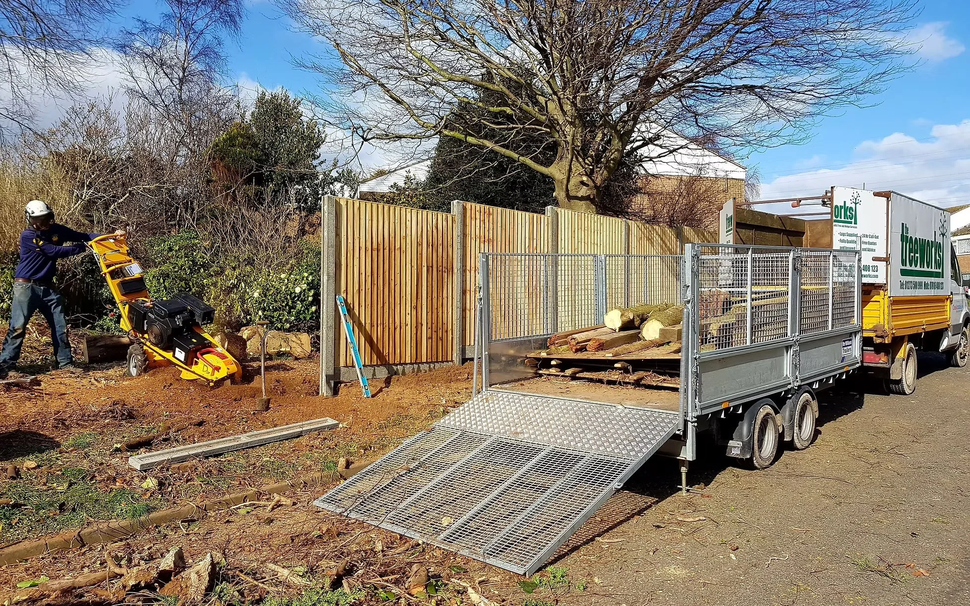 Treeworks tree surgery.jpg