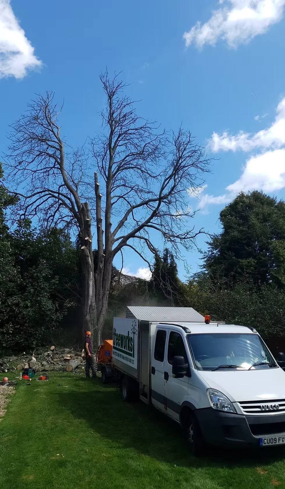 Tree Surgery 2.jpg