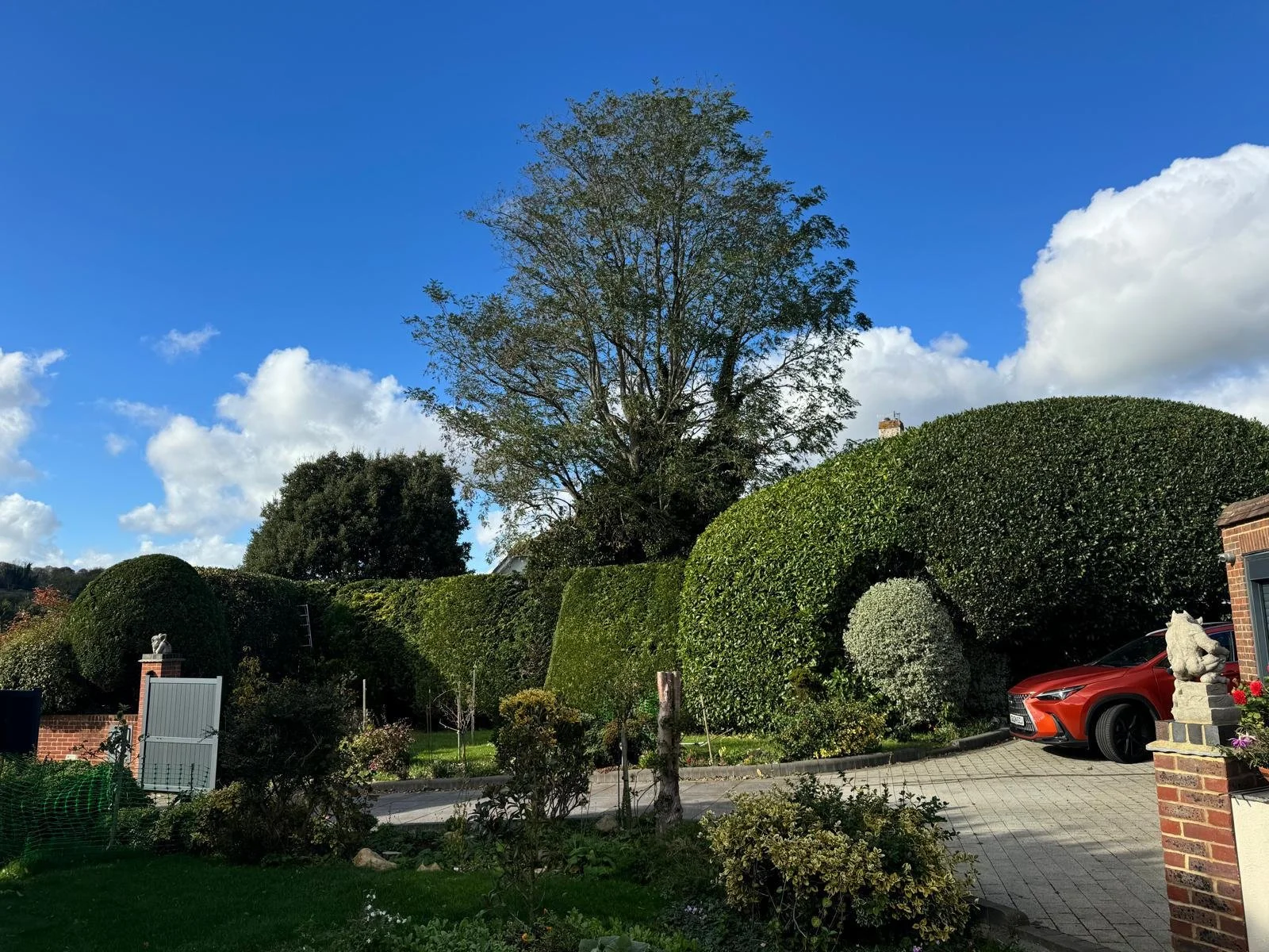 Hedge cutting