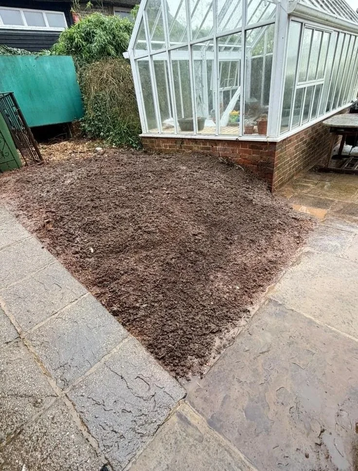 Removal of tree stump