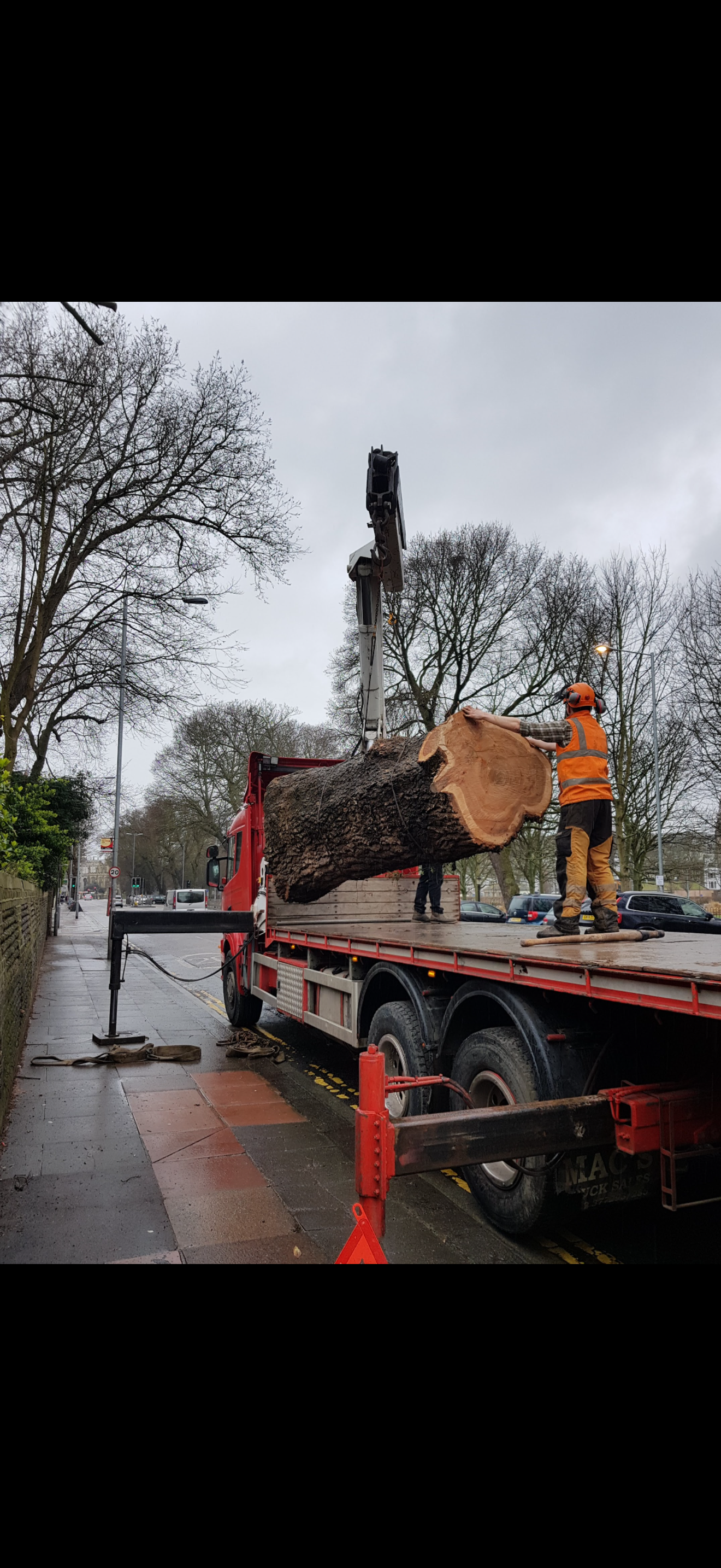 IMG_6894.png