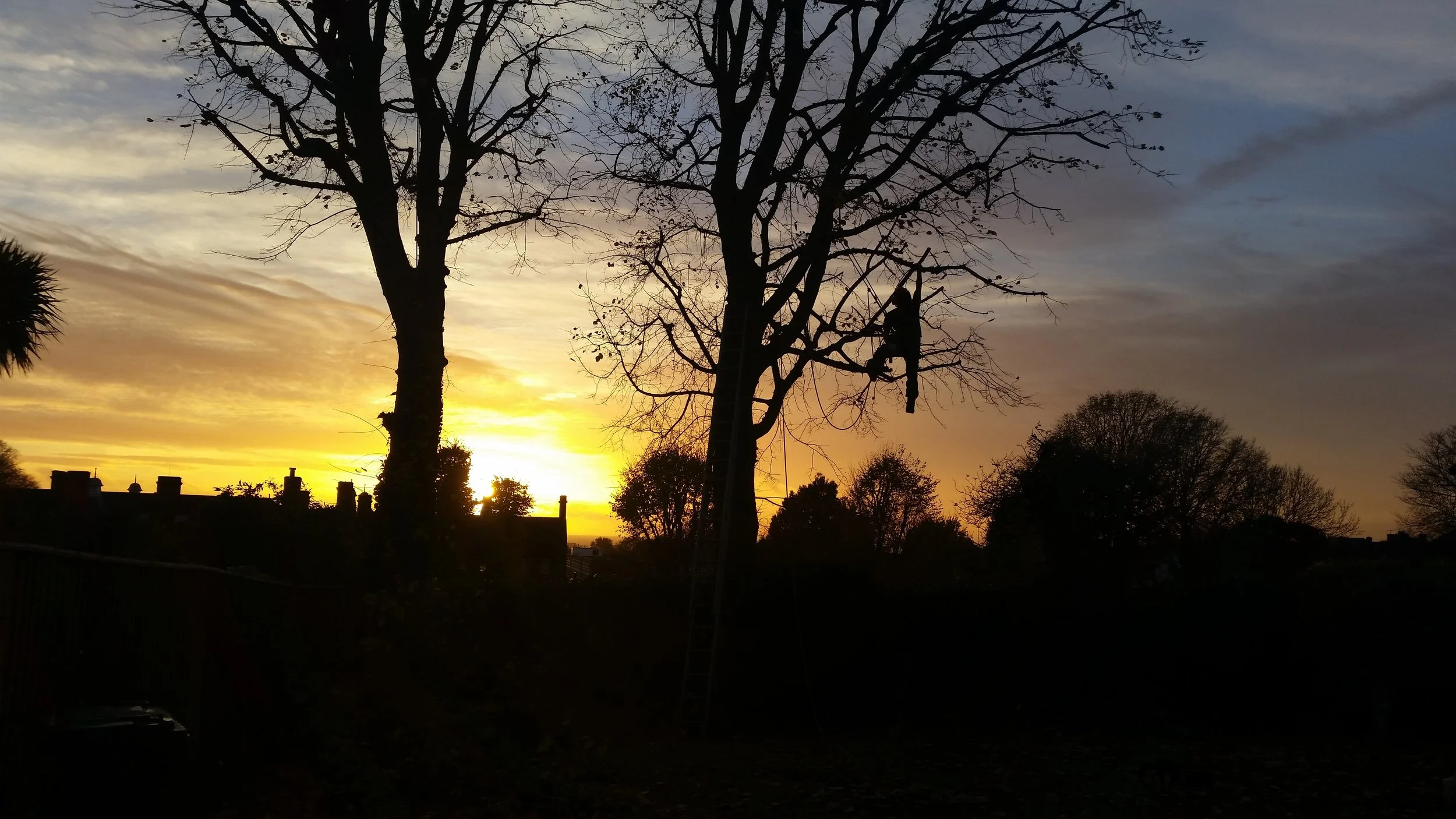 The Treeworks