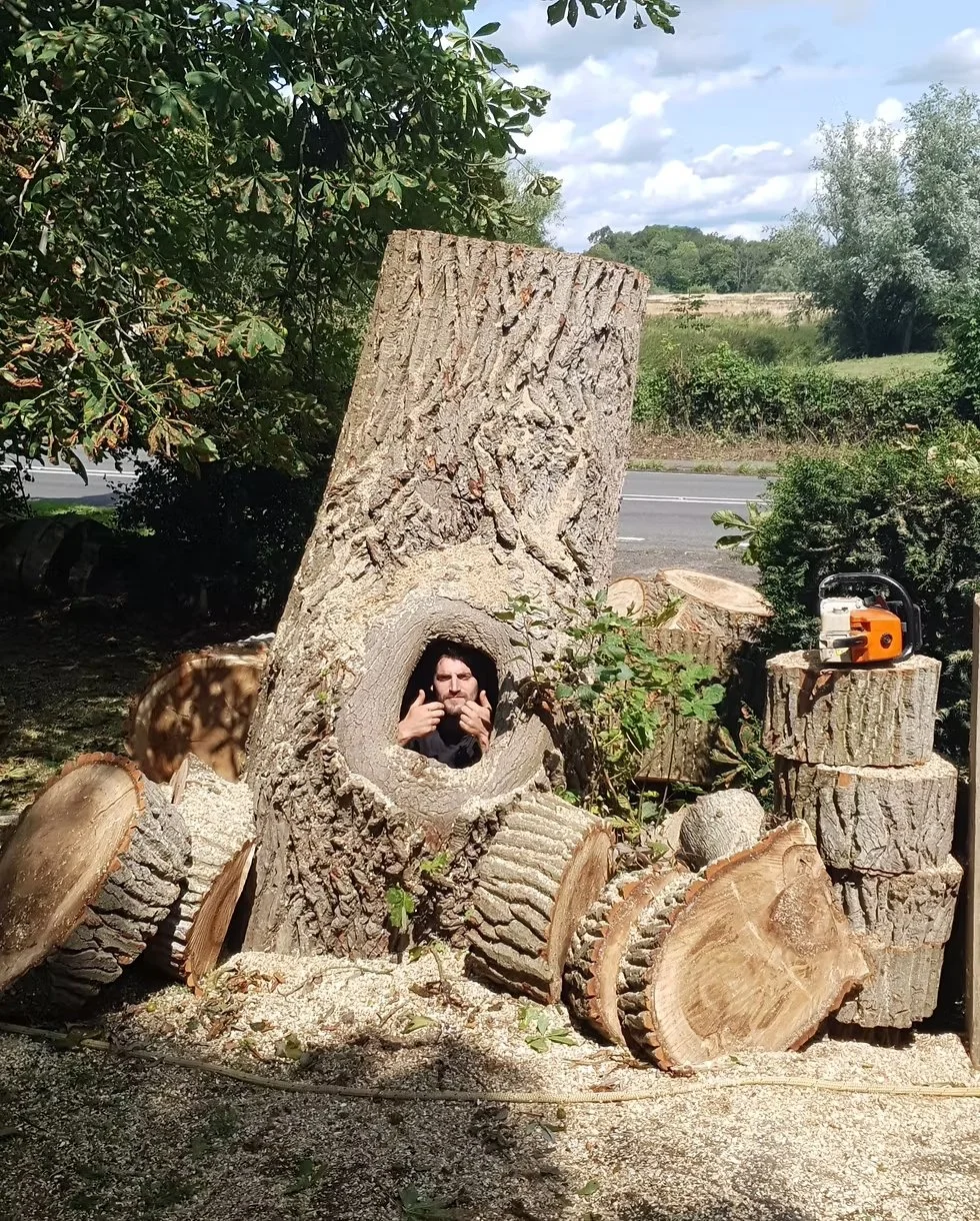 Person peeking through a hole in a large cut tree trunk, surrounded by chopped wood logs, with a chainsaw placed on a block of wood nearby. Trees and a road are visible in the background.