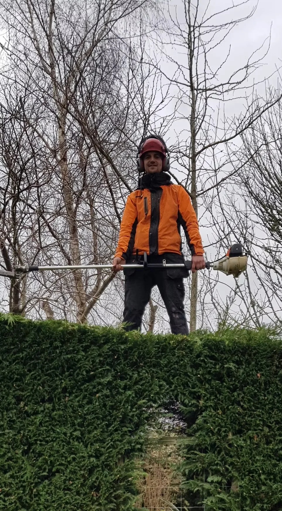 Tree surgeon wearing an orange jacket, black pants, red helmet, and ear protection, standing on a hedge while holding a leaf blower outdoors on a cloudy day with trees in the background.
