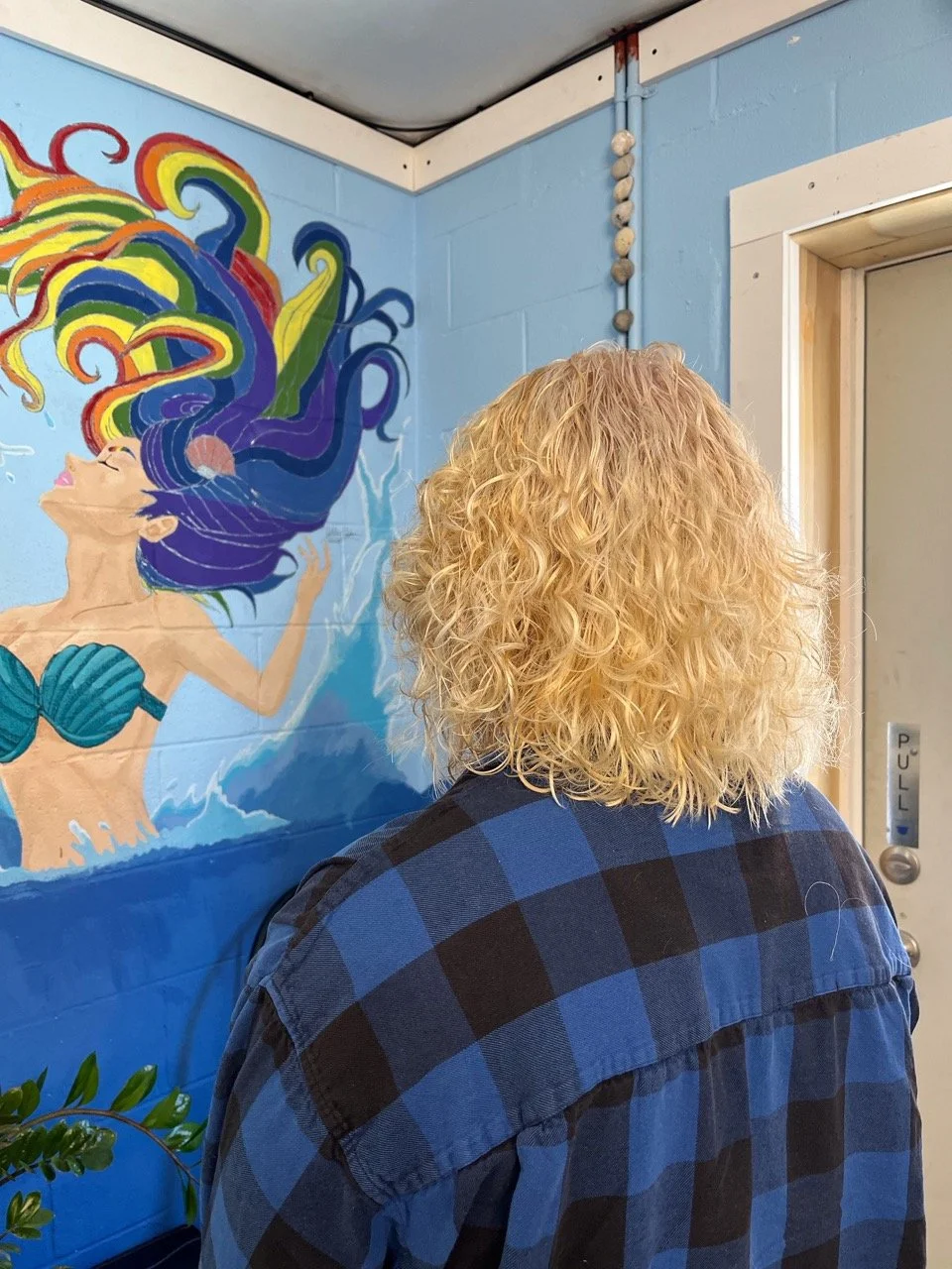 hair color service clyde nc