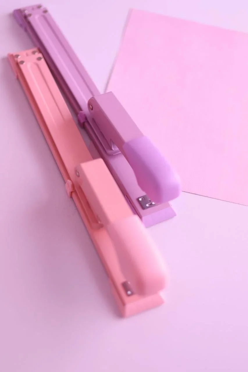 PARTY BOOK ROSA