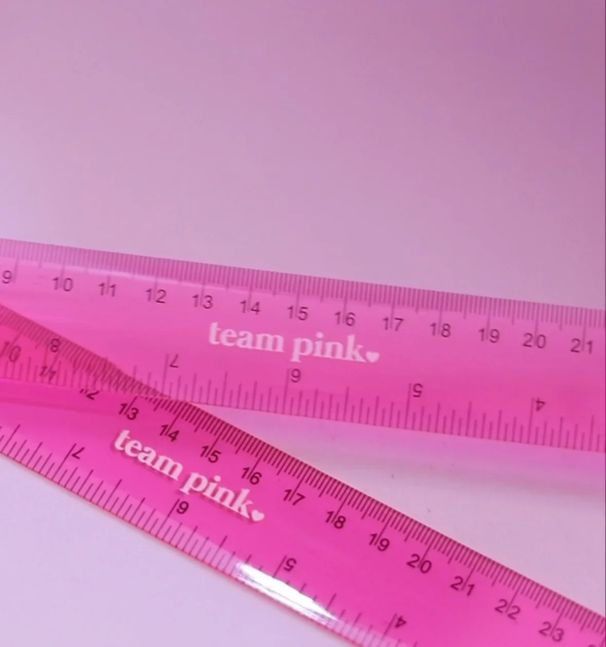 Team Pink Mini Ruler