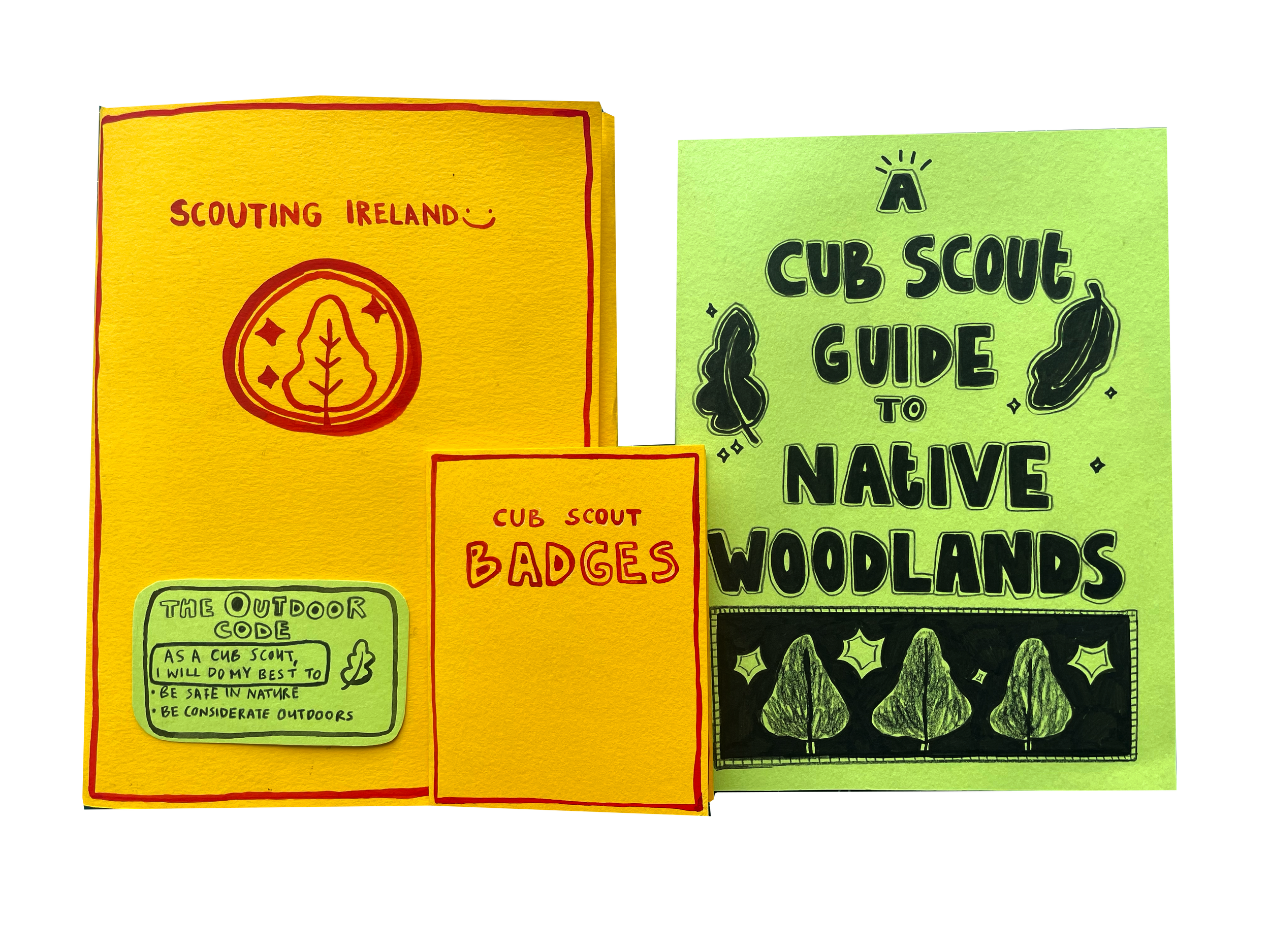 A Cub Scout Guide to Native Woodlands