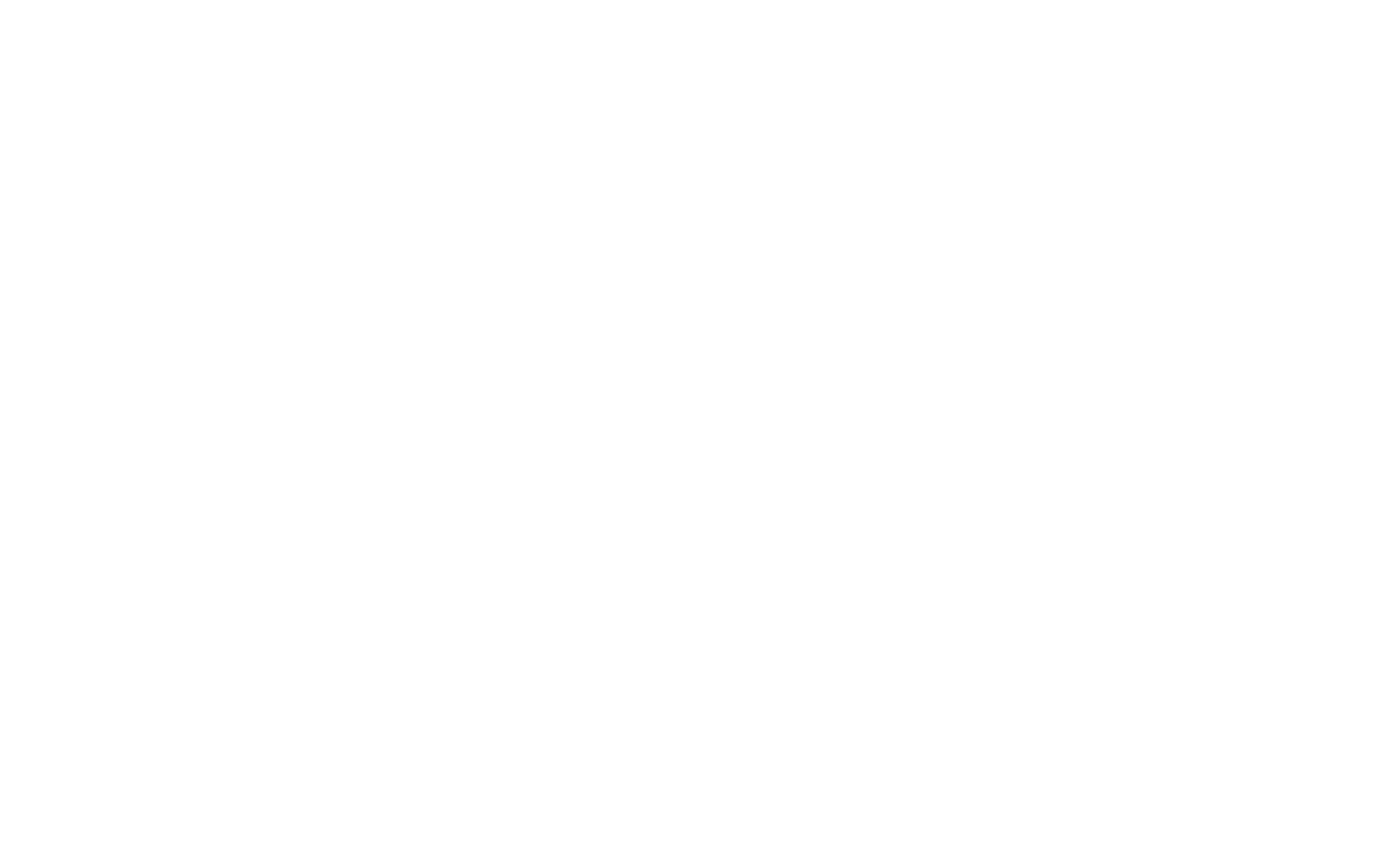 FRANK STEIN M.D.