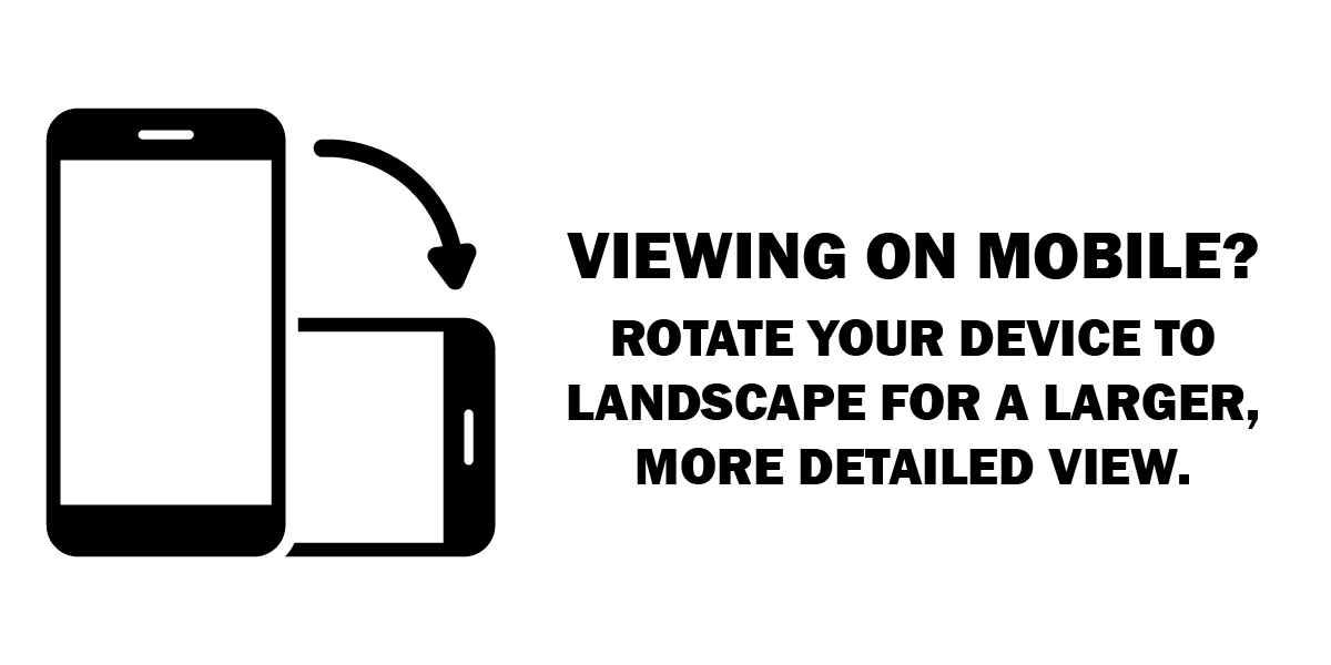 Black comic-style speech bubble with the phrase "What is in this image? Respond in American English." inside.