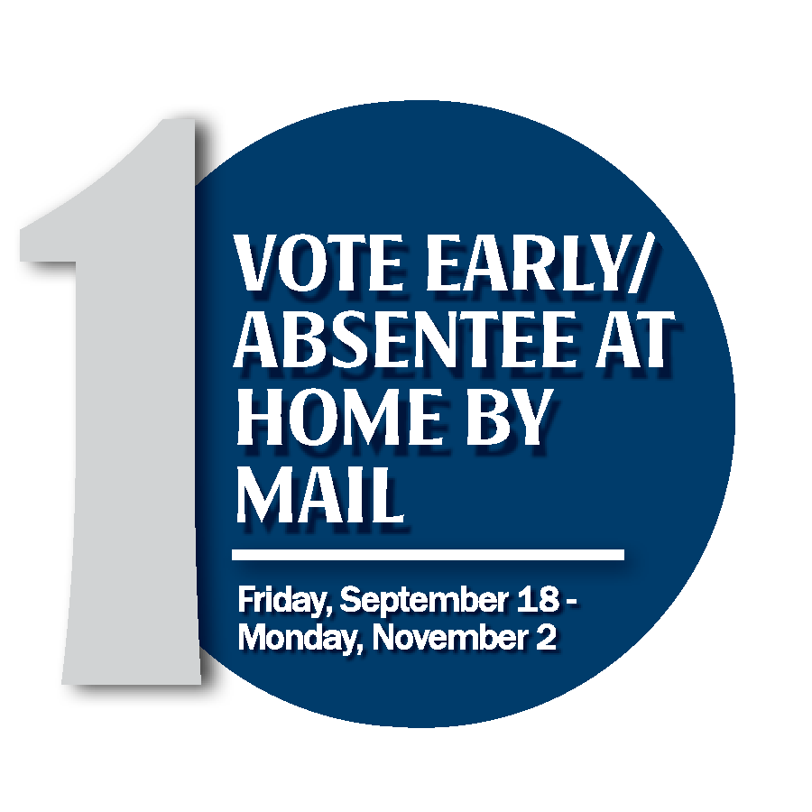 New York Mills Public Schools November 2026 Referendum - early/mail-in voting