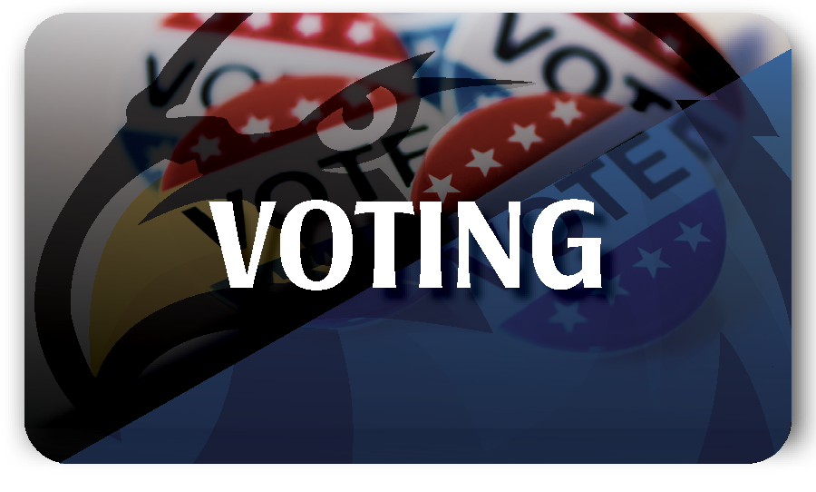 New York Mills Public Schools November 2026 Referendum - Voting Information