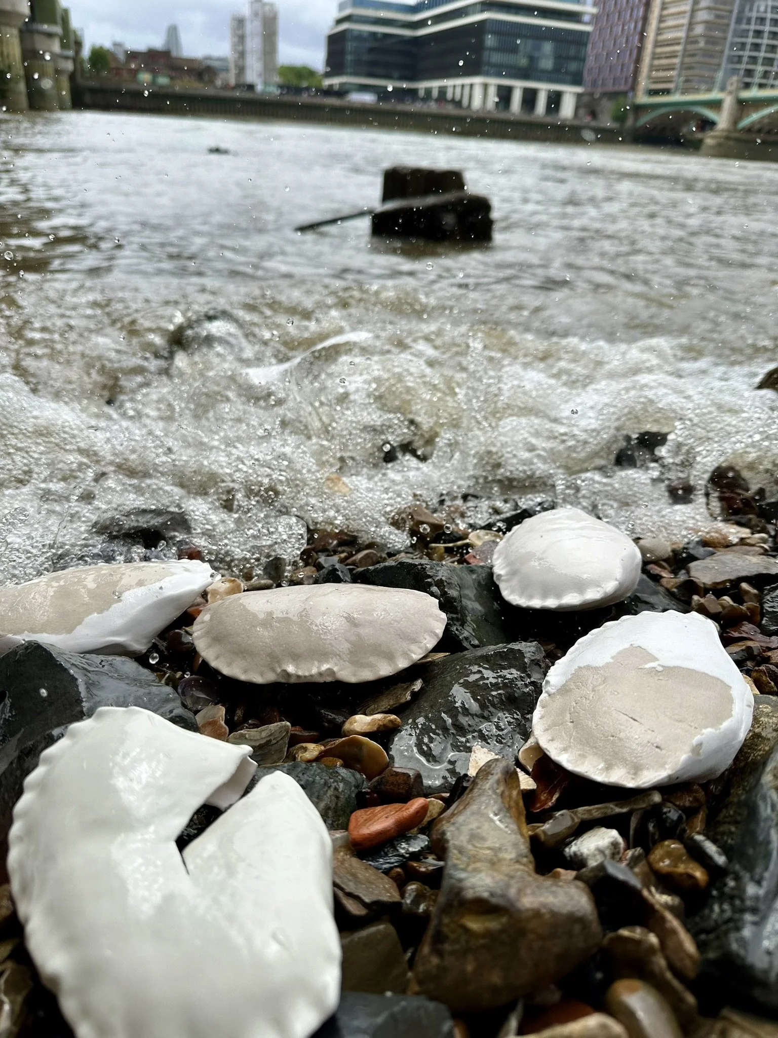 Close-up of a rocky shoreline with broken white shells and small multicolored pebbles, water splashing over the rocks, and city buildings and a bridge in the background.