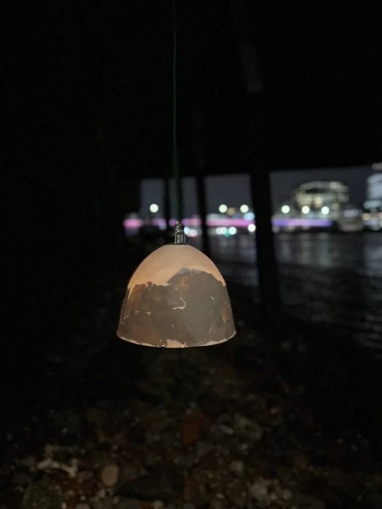 E1462219-4E40-4D8C-9010-5982EE70C612_1_105_c.jpeg