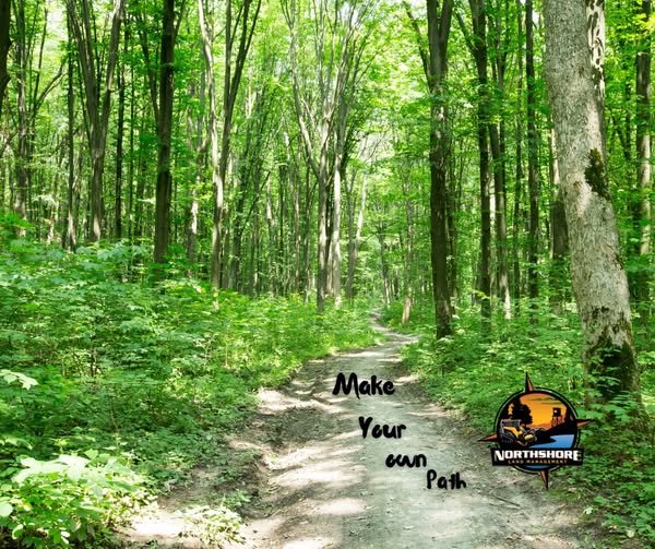 Woodland path with lush green trees, sunlight filtering through, and text 'Make Your Own Path' with a Northshore logo.