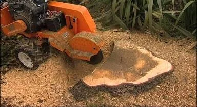 Tree stump being ground by an orange stump grinder on a lawn.
