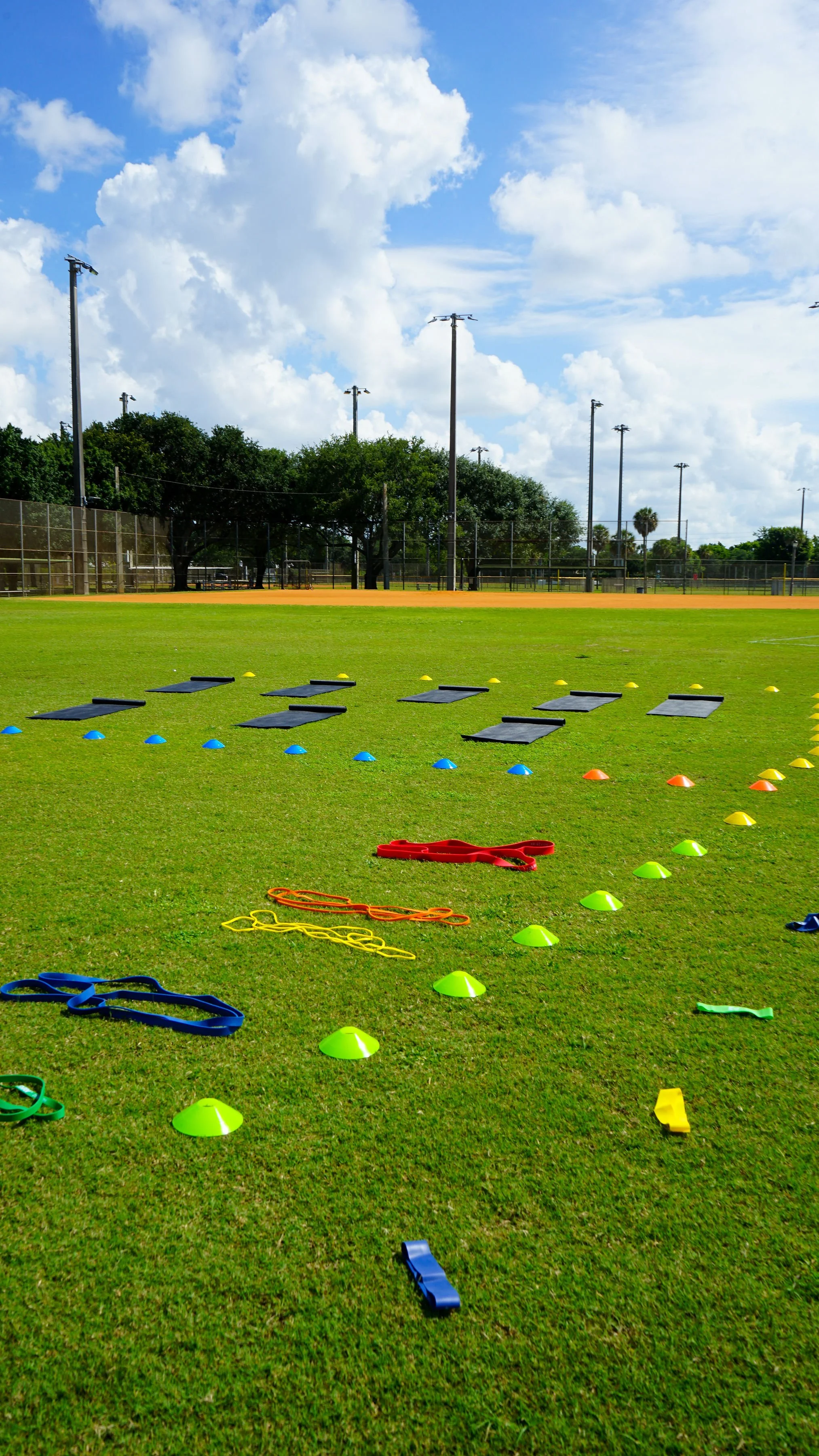 Youth Sports Performance