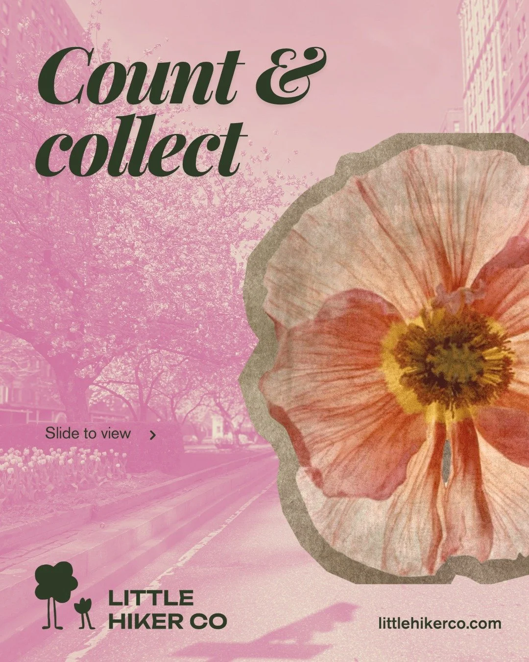 Who else has piles of rocks and sticks at their front-door, ever growing, fueled by your little hiker's drive to collect? 

Treasures from nature can be their own reward. Or, you can opt to avoid the pile up by making them currency to trade-in for st