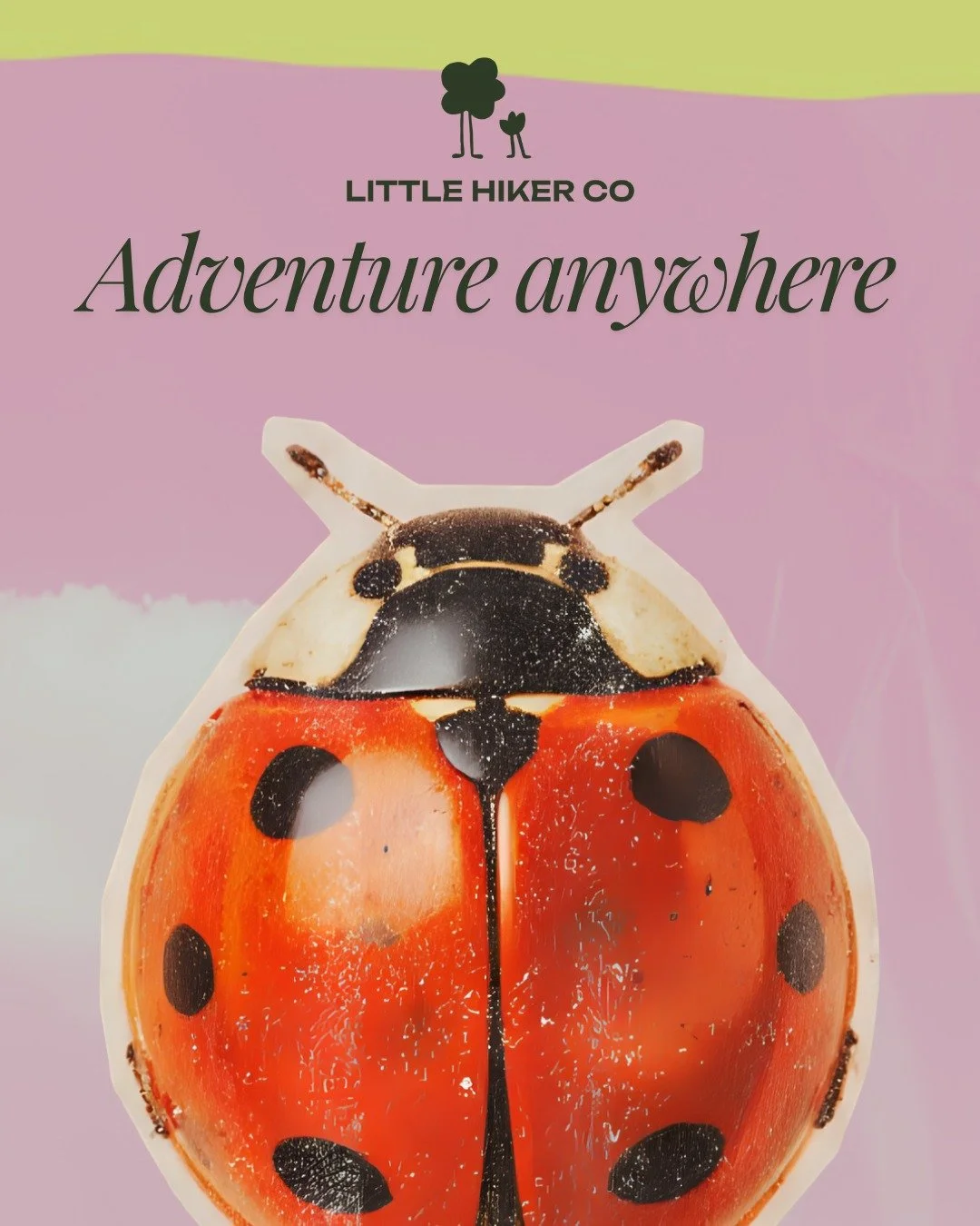 Whether you&rsquo;re miles into the backcountry or just two blocks from home, the "epic" moments are usually smaller than we think. 🐞

We spend so much time waiting for the big trips&mdash;the ones that require permits, packing lists, and 