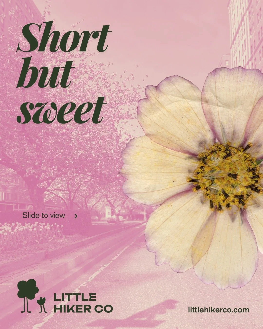 If you tell a kid you&rsquo;re going for a "three-mile trek," they hear "we are walking until the end of time." Cue the immediate leg fatigue and the "carry me" arms. Your secret sauce isn't endurance, it's momentum. 

W