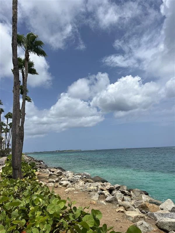 A tropical beach with palm trees, rocks along the shoreline, and blue ocean water under a partly cloudy sky.