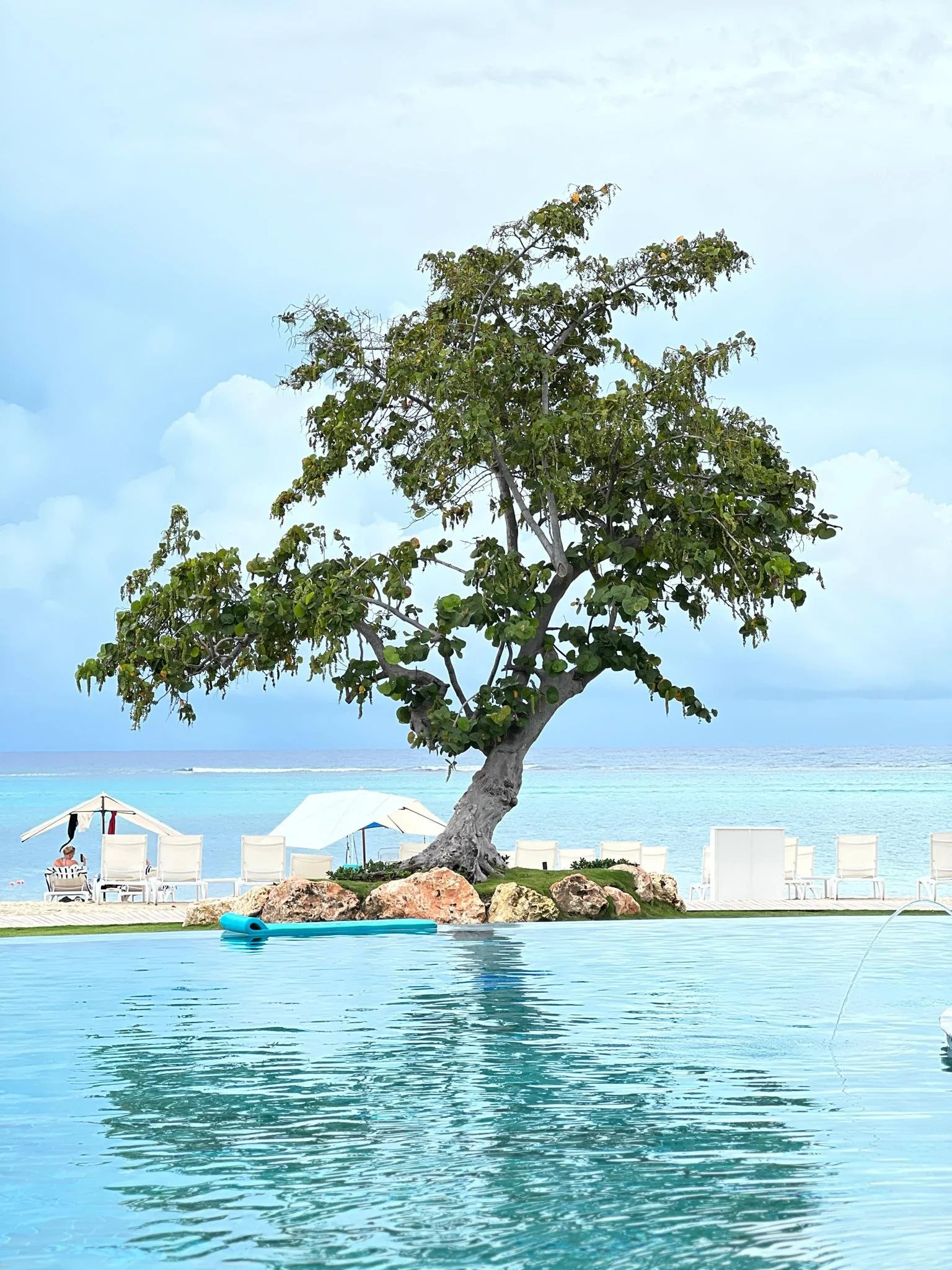A large tree with green leaves growing by a swimming pool, with the ocean and a light blue sky with some clouds in the background. There are white lounge chairs and umbrellas on the beach, and a person sitting under one of the umbrellas.