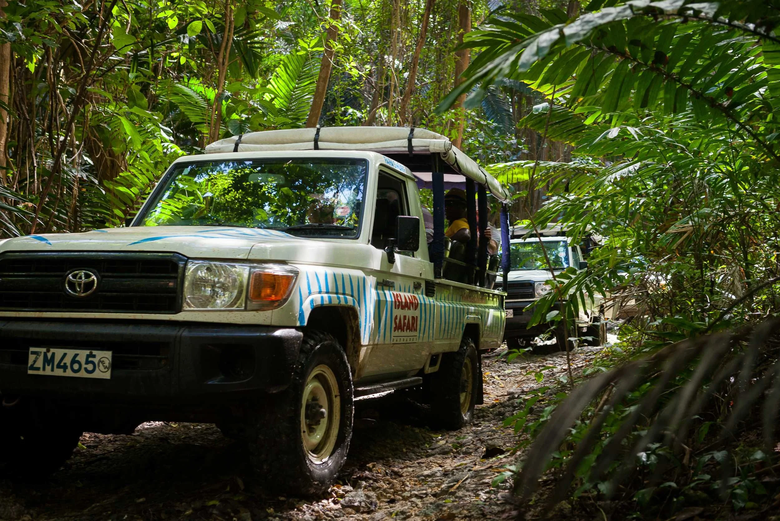 Two off-road vehicles driving through a dense tropical rainforest with lush green foliage and tall trees.