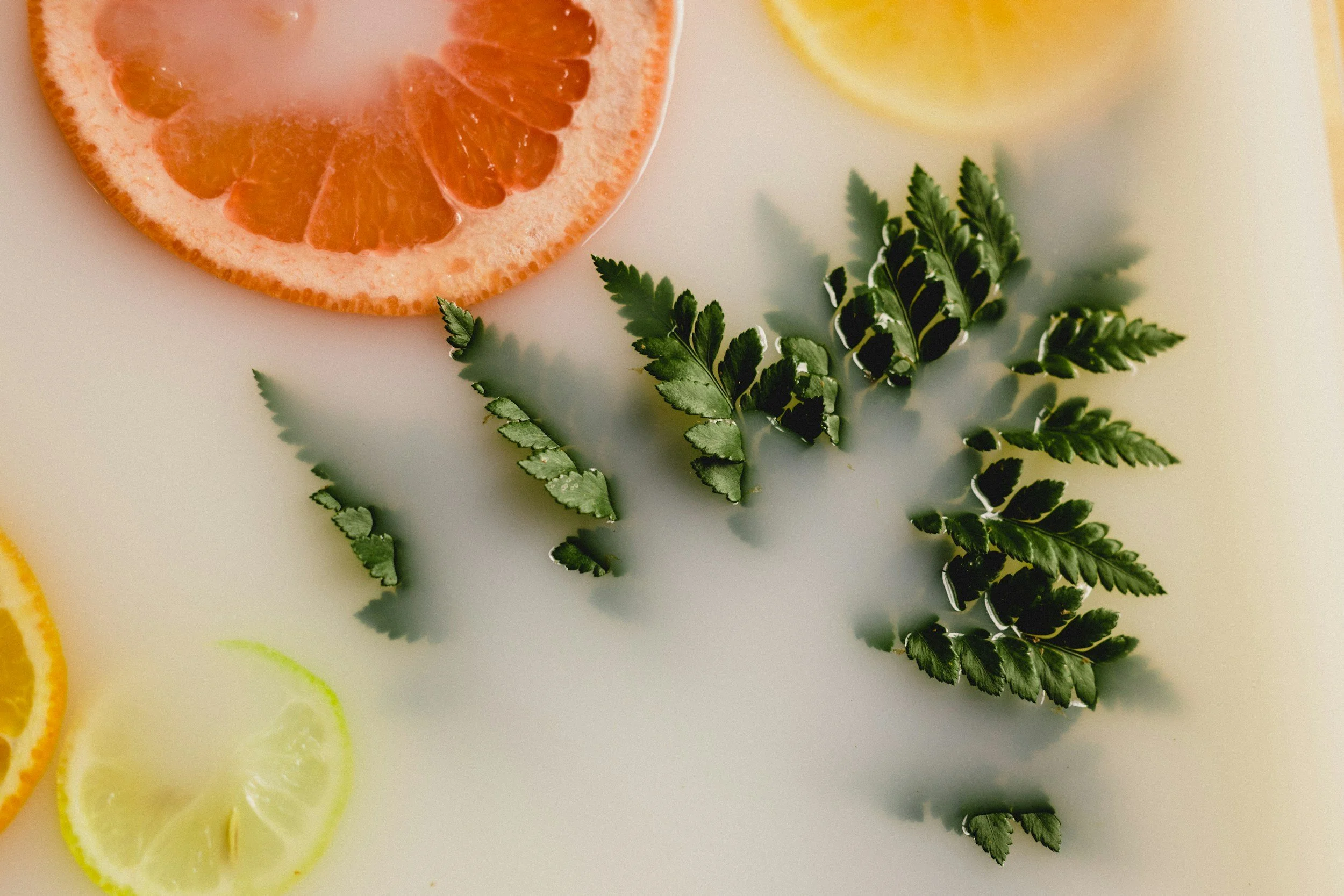 Close-up of citrus slices, including grapefruit, lemon, and lime, with green fern leaves on a light-colored background.