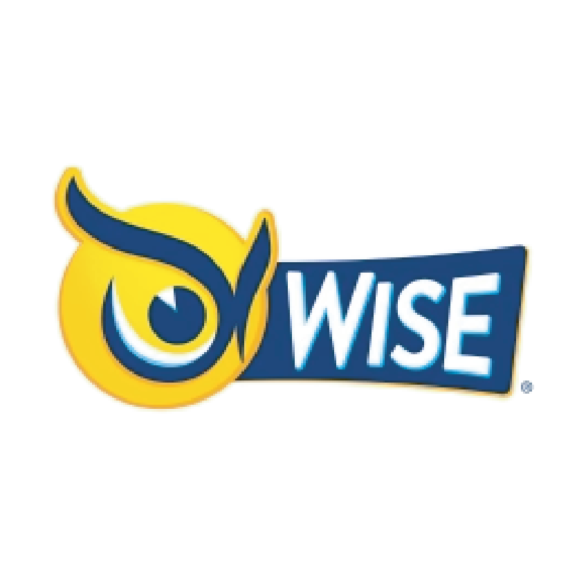A colorful logo with a yellow and blue owl design and the word "WISE" in blue letters.