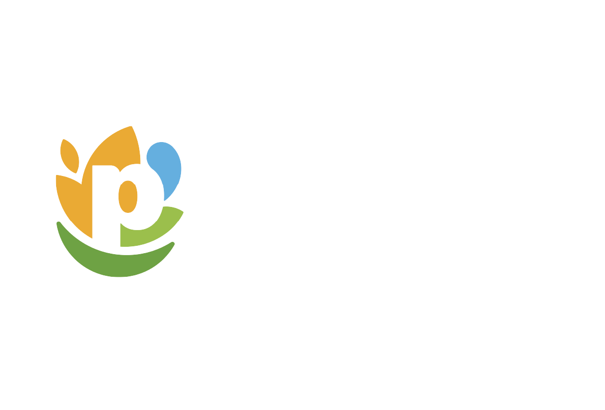 PepsiCo logo with a stylized lowercase 'p' in black, surrounded by abstract shapes in yellow, blue, and green to form a smiling face, and the word 'pepsico' in white lowercase letters.