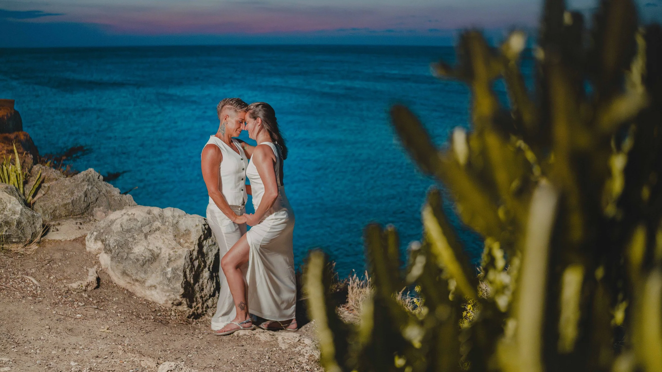 A couple standing close together on a rocky area by the ocean at sunset, holding hands and touching foreheads, with some greenery in the foreground.