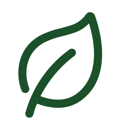 Simple green leaf icon.