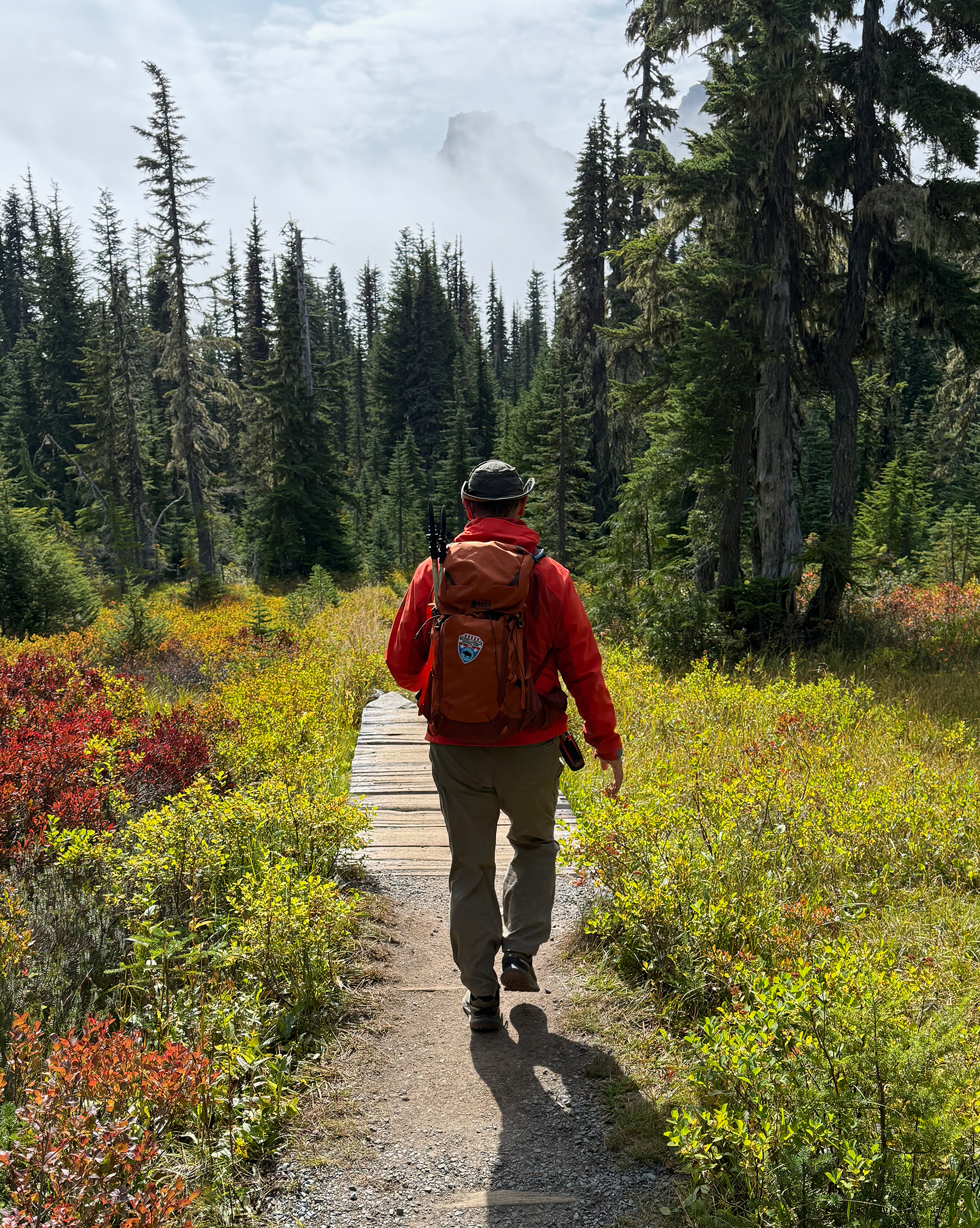 A person hiking on a trail through a forest with tall trees and mountain peaks in the background.