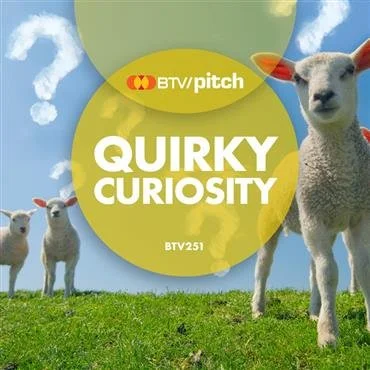 Pitch Quirky Curiosity.jpg