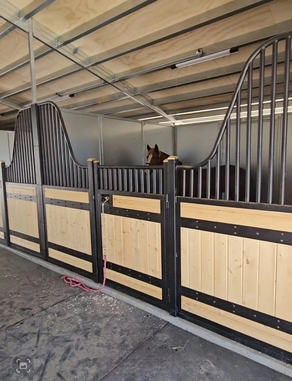 A horse is inside a wooden and metal stall, looking over the barrier, in a stable or barn.