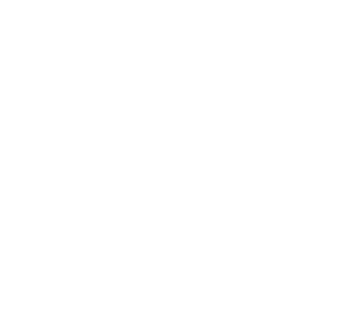 Black and white logo of an eagle's head overlapping a circular shape with three horizontal lines extending outward on each side.