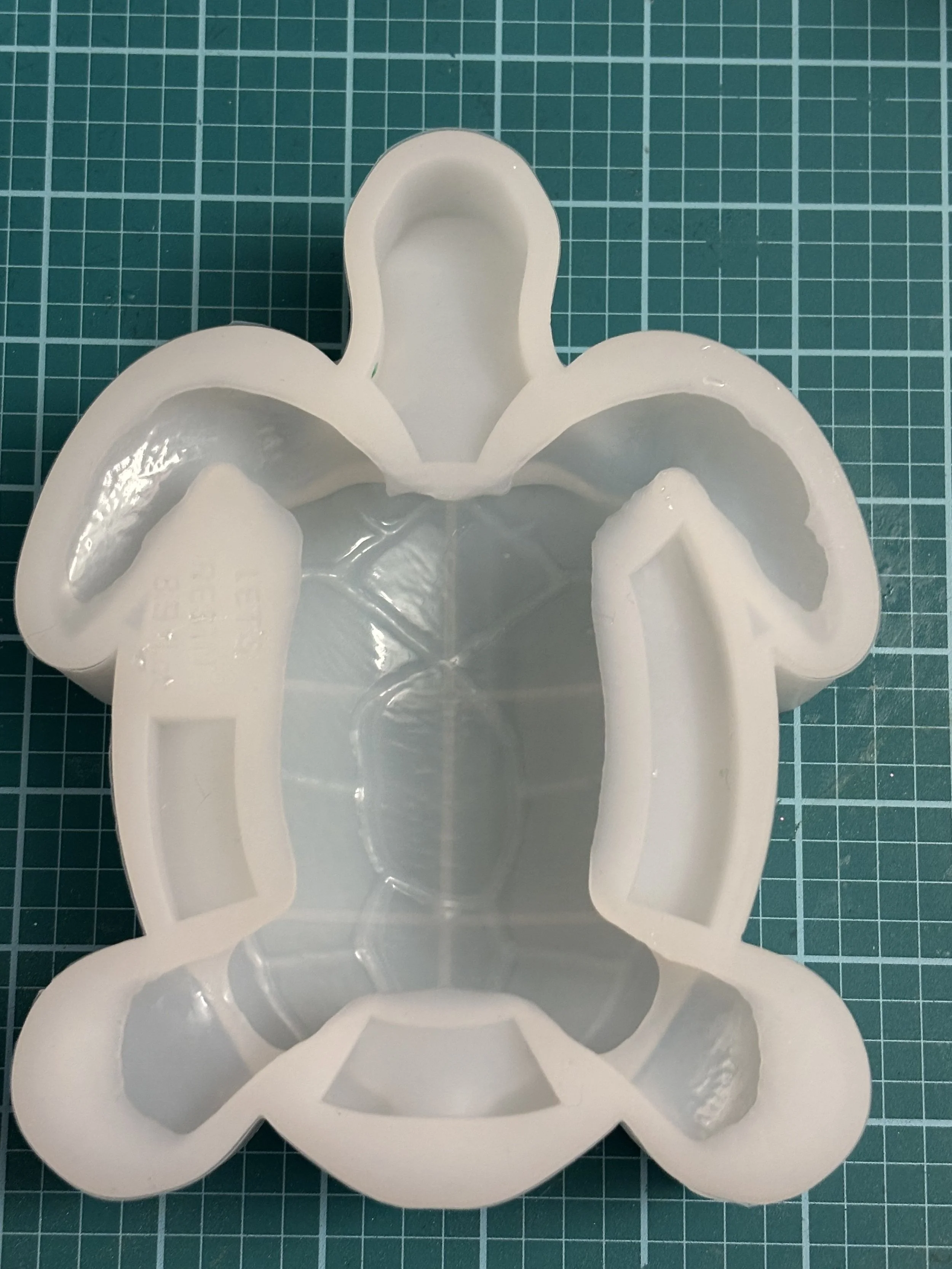 Custom Made Turtle