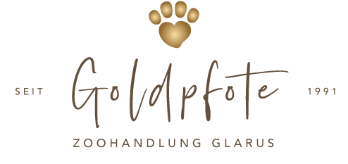 Dein Website-Titel