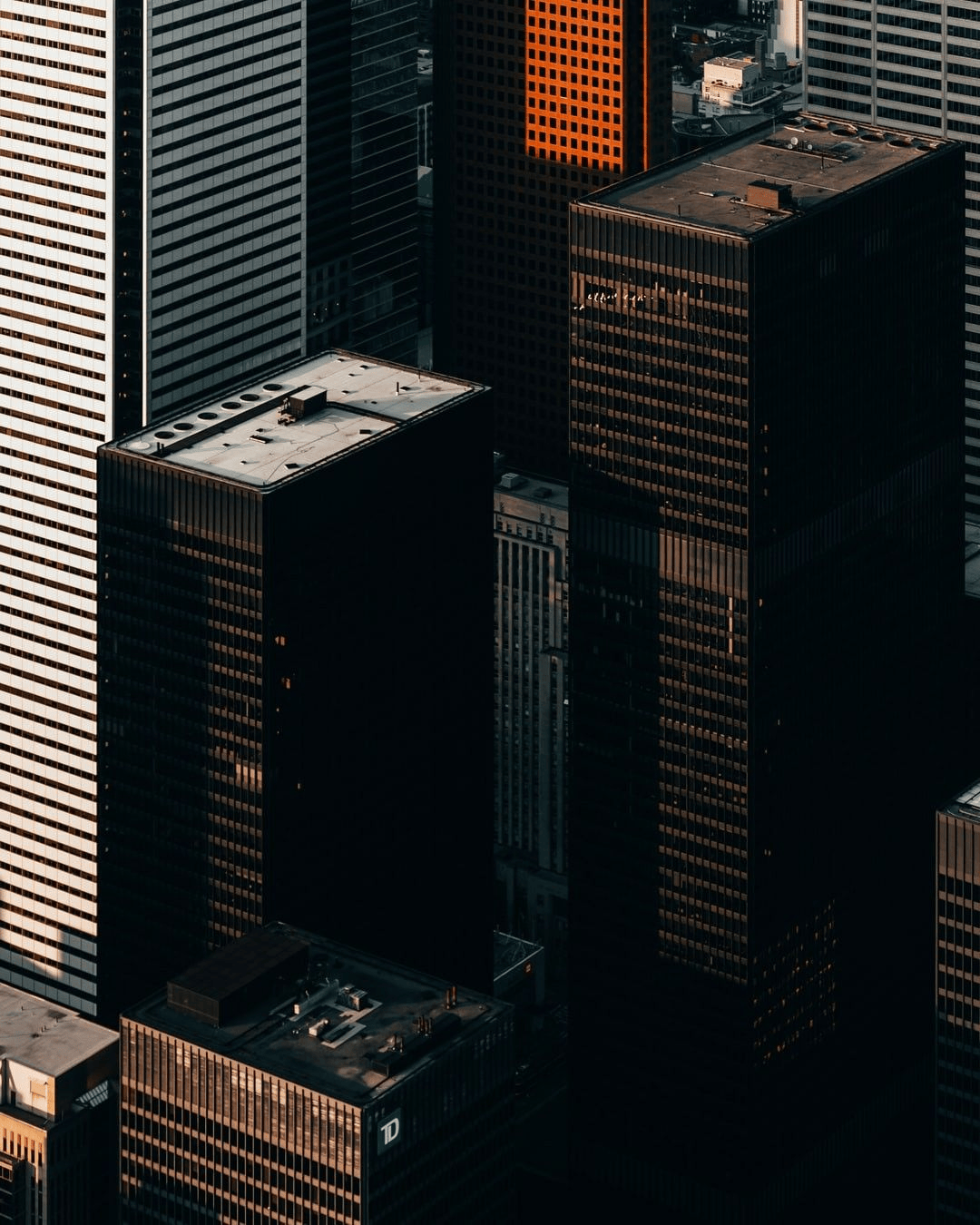 The Quiet Evolution of the CFO