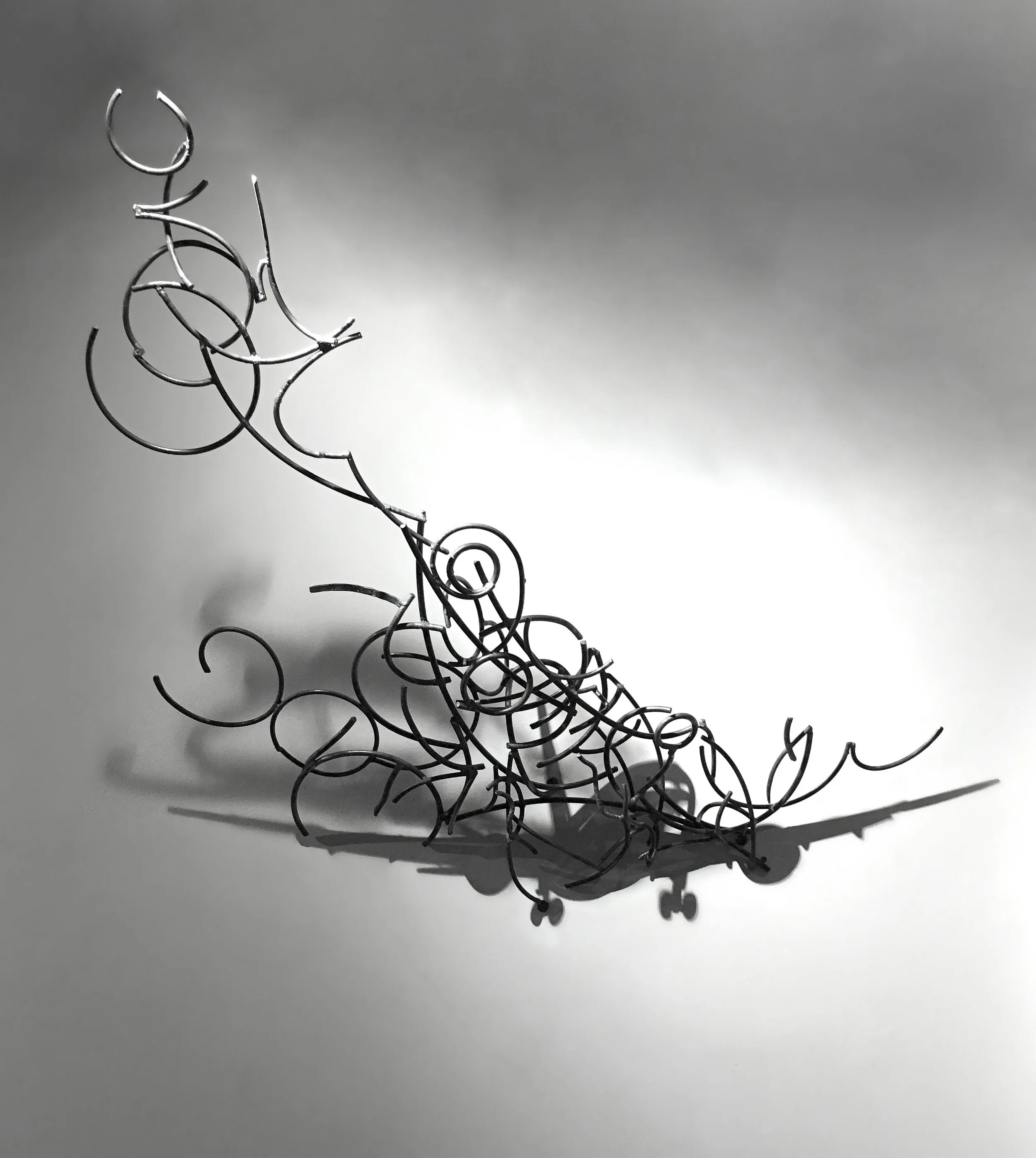Kagan_Rough-Landing_2018.jpg