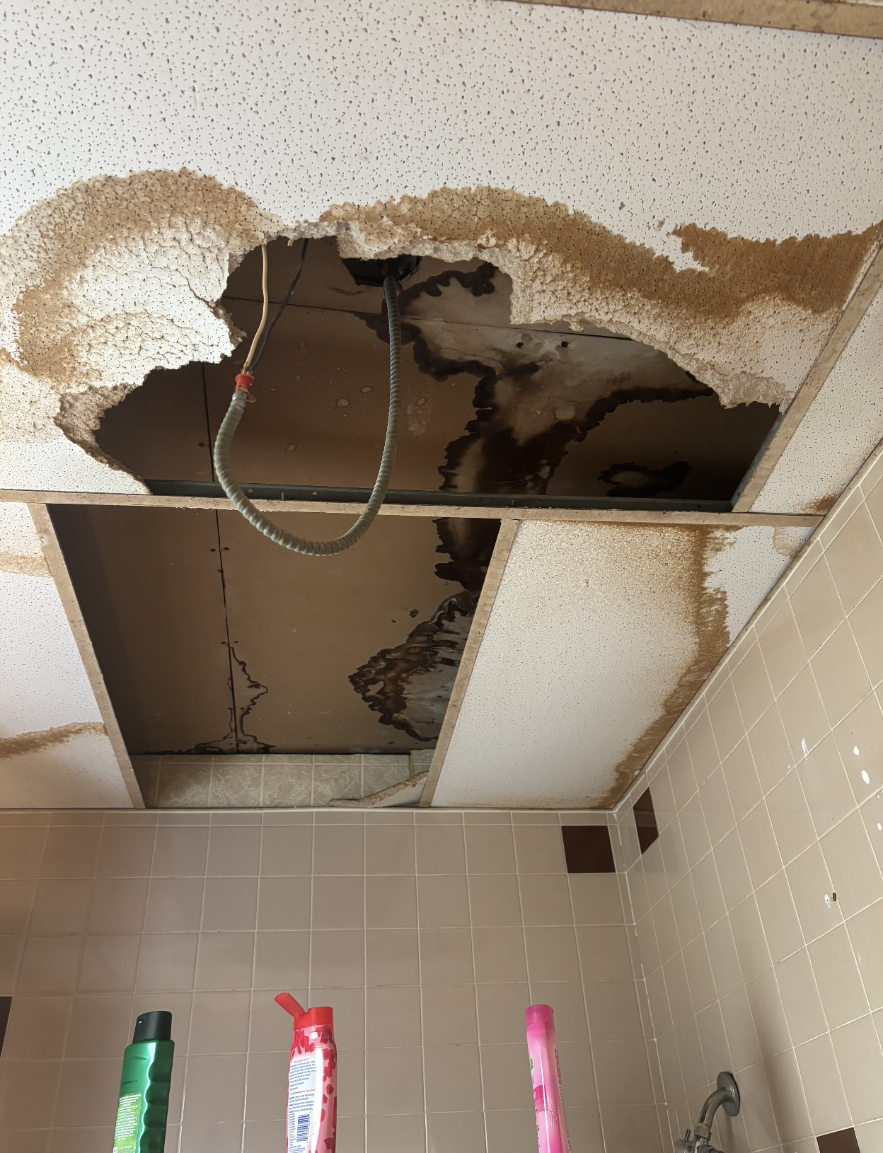 Leak Inspection and Repair