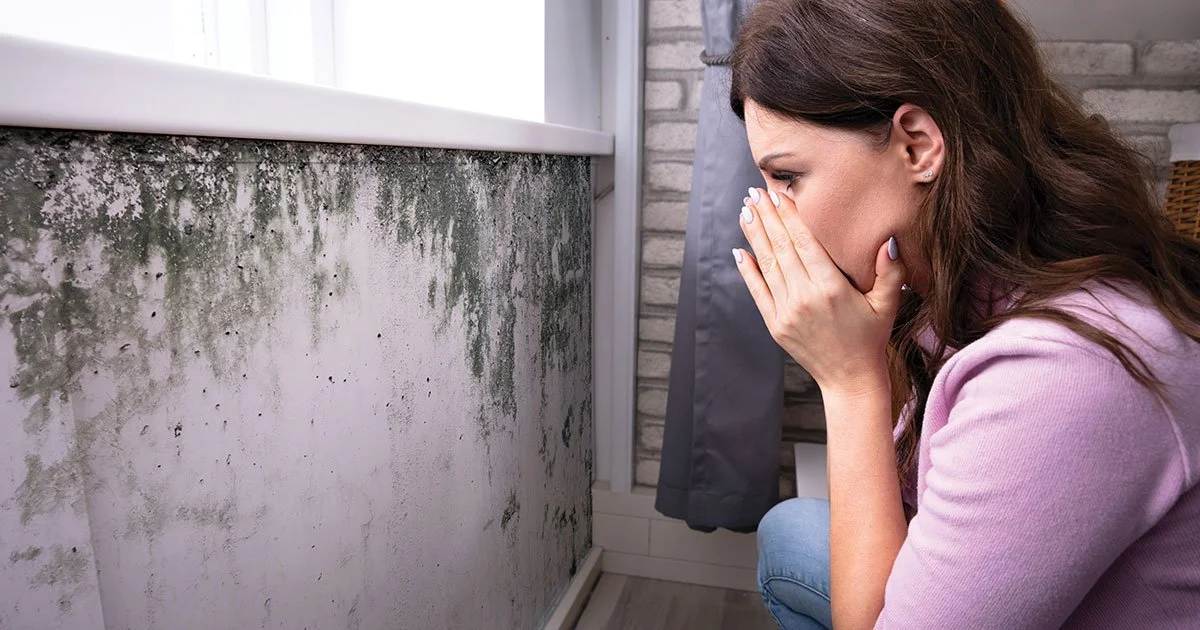 Risks for Mold NYC