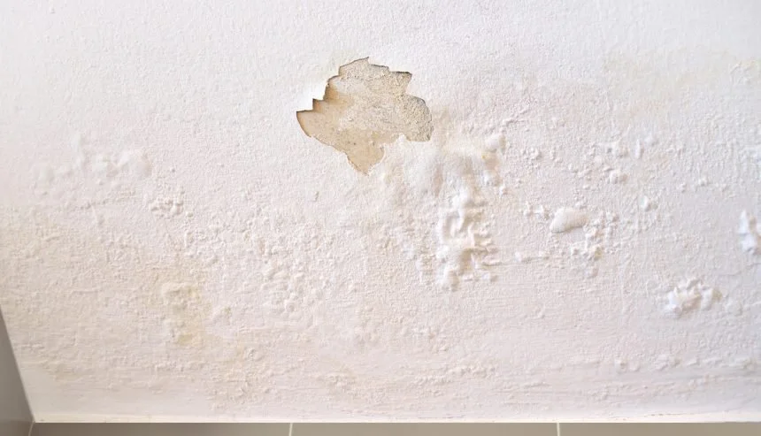 Water Damage to the Wall in NYC