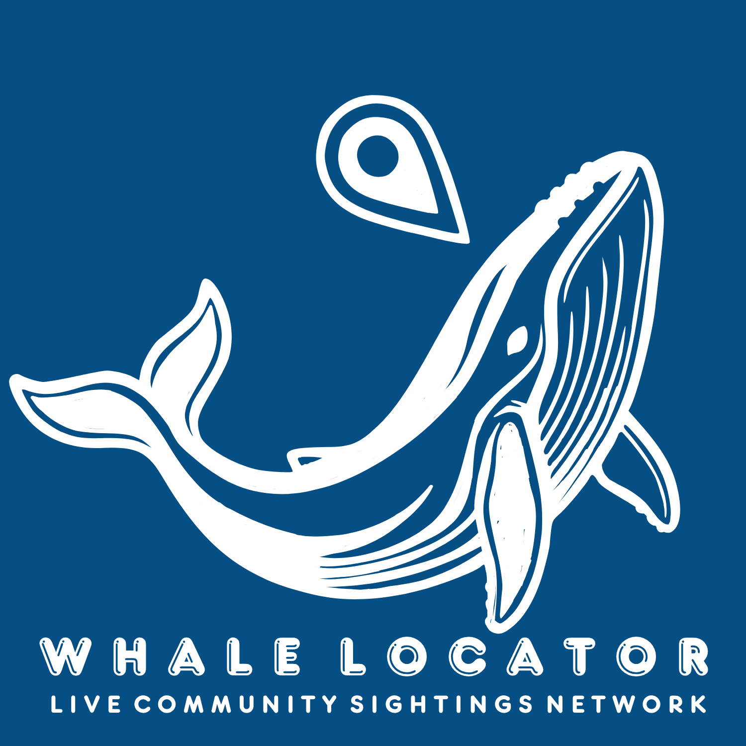 Whale Locator. Live Community Sightings Network