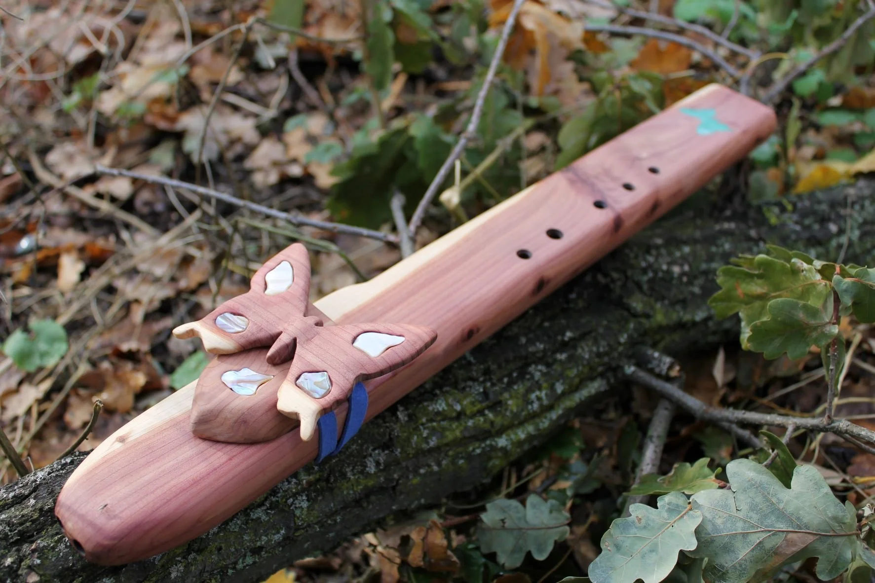 Doppel Schmetter8.JPG