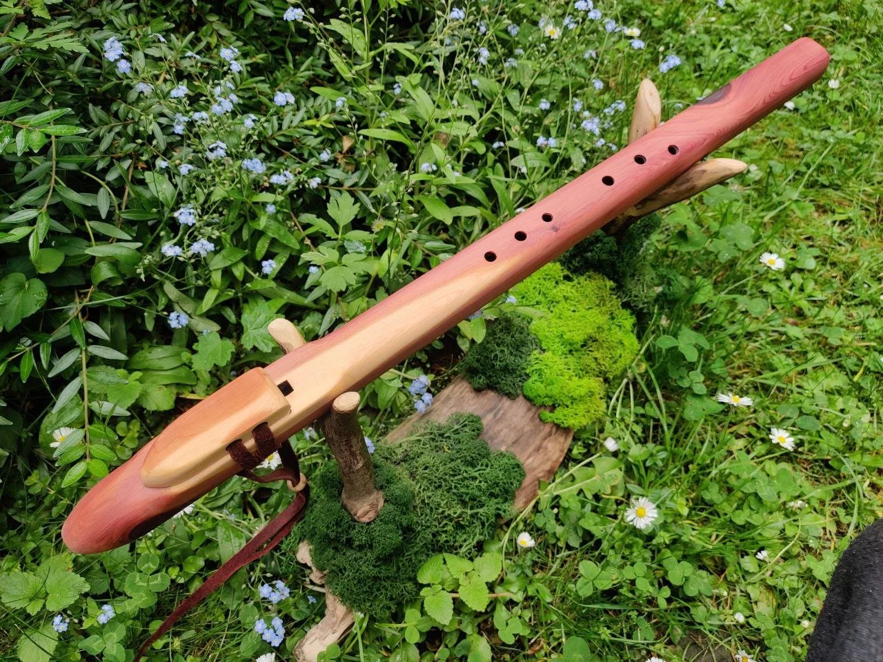 photo_2025-05-28_14-16-18 (3).jpg